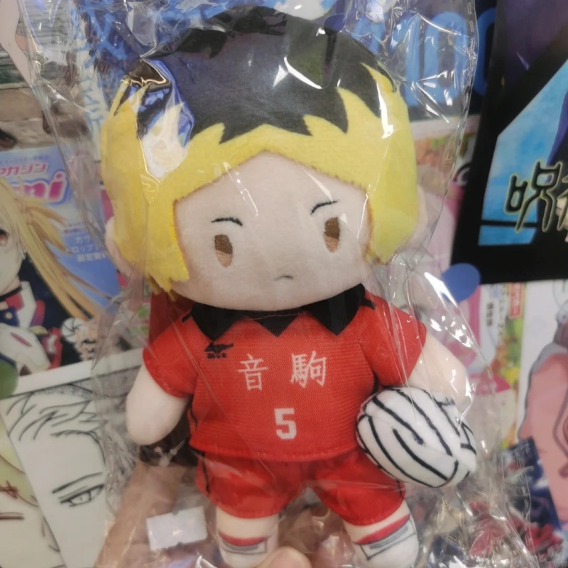دمية قطيفة قابلة للسحب من هايك - مراجعة Anime Merchandise Haikyuu وسعره